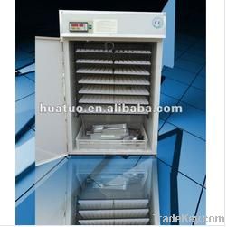 Professional quail farming in United Arab Emirates ZYA-11