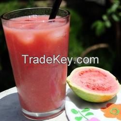 Pink Guava Pulp