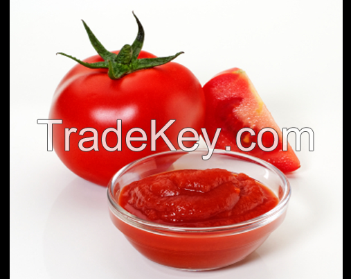 Tomato Puree / Paste