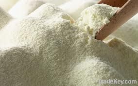 Skimmed Powder Milk 99%