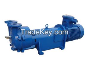 2BV 5131 Liquid Ring Vacuum Pumps