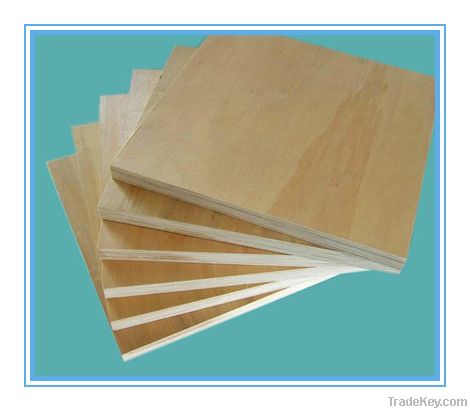 Birch Plywood