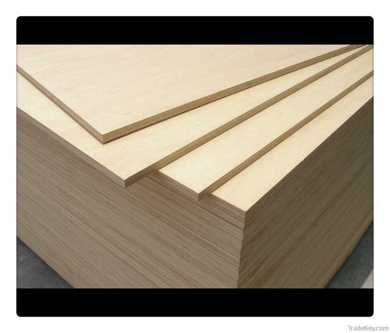 Birch Plywood