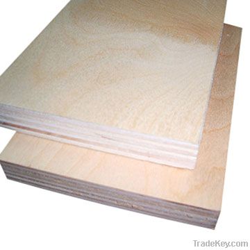 Birch Plywood