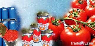 Hot break tomato paste