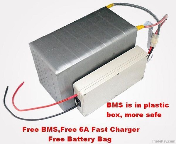 48V 20AH LiFePO4 Battery (with BMS, 6A Fast Charger and Bag)