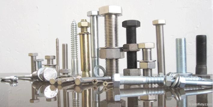 Hex Head Bolt