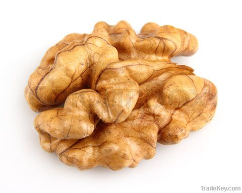 Walnut Kernels | Dried Fruits | Walnut Suppliers | Walnut Exporters | Walnut Manufacturers | Cheap Walnut | Wholesale Walnut | Discounted Walnut | Bulk Walnut | Walnut Buyer | Import Walnuts | Shelled Walnuts