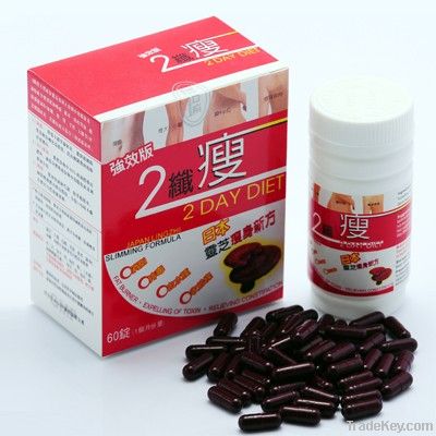 Japan 2 Day Diet Slimming Pill