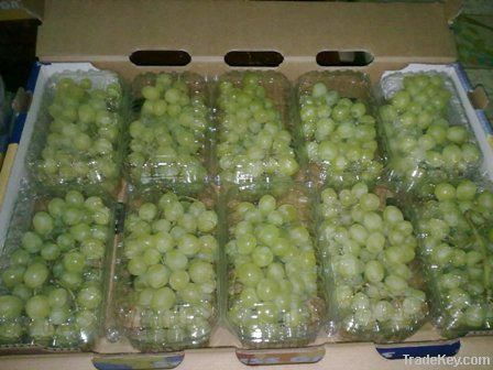 Grapes