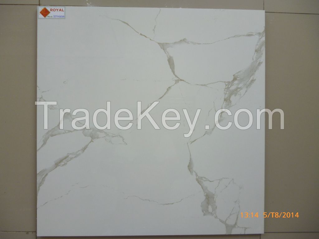 POLISHED PORCELAIN TILES