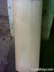 Hand Made A + Grade English Willow Cricket Bat