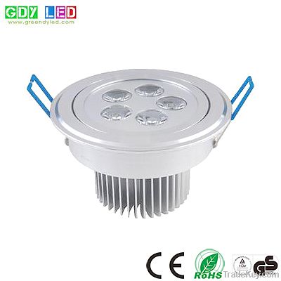 LED Ceiling Down Lamp