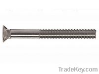 Flat Head Square Neck Bolt