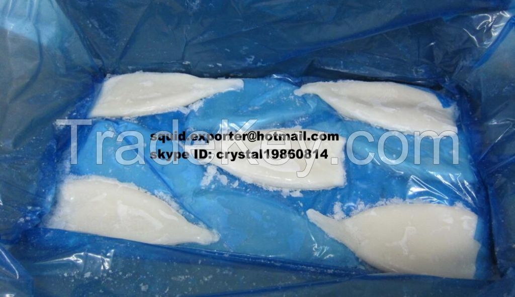 Fish Seafood Frozen squid tube whole cleaned