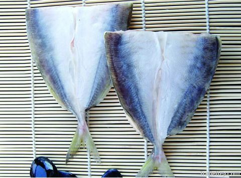 Norway Horse Mackerel Fillet