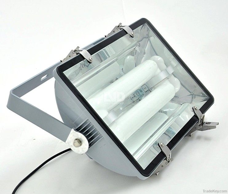 Energy efficient LVD induction lamp Flood Lights
