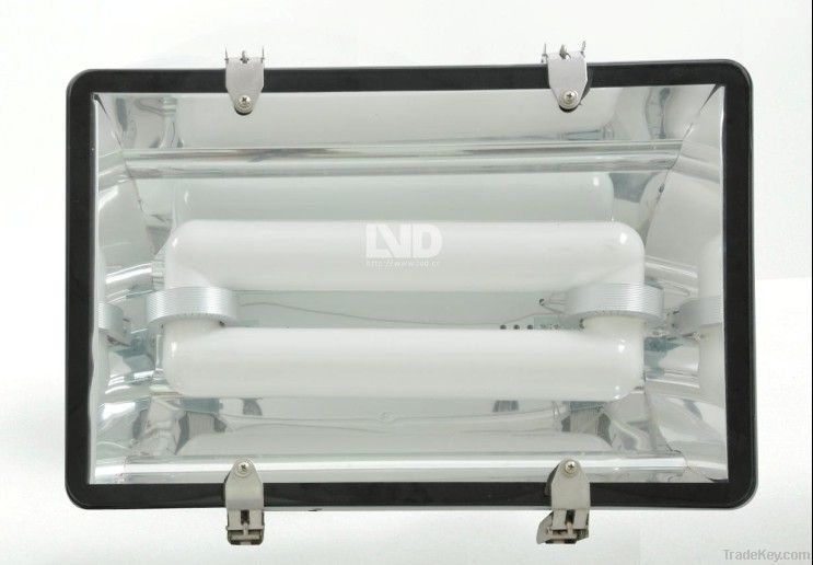 Energy efficient LVD induction lamp Flood Lights