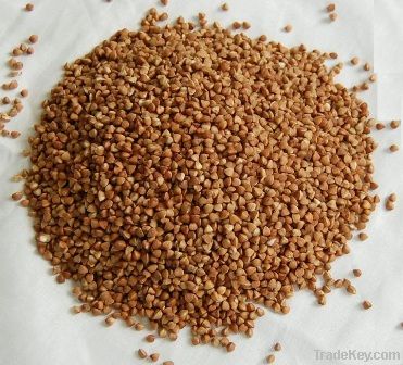 Buckwheat Kernel