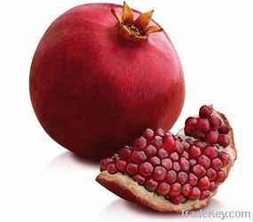 Pomegranate