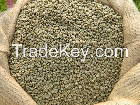 Raw Arabica Coffee Beans