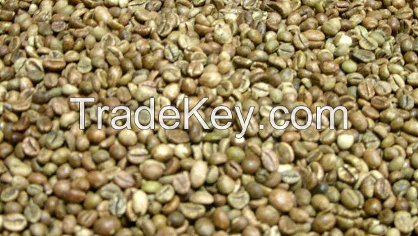 Green Arabic Coffee Beans