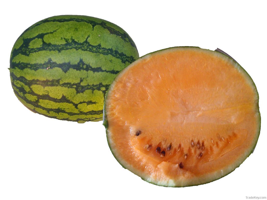 Yellow Watermelon