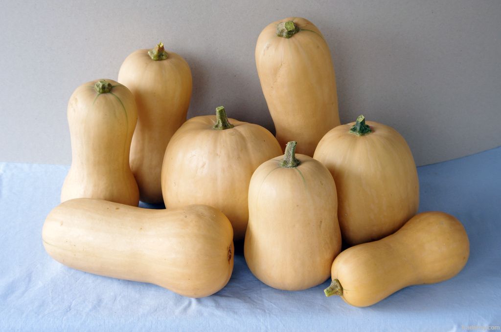 Butternut Squash