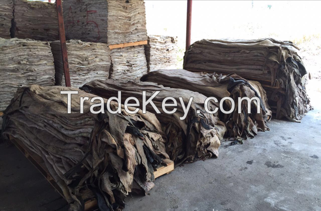 WET SALTED COW HIDES / WET SALTED SHEEP SKIN / WET SALTED PIG SKIN 