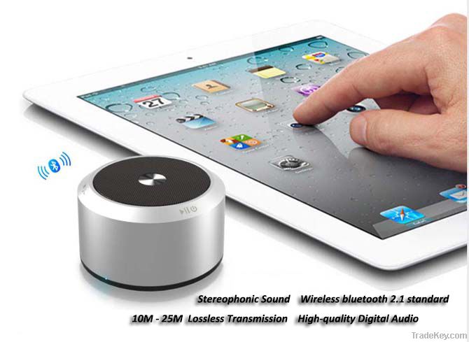 Bluetooth Mini Speaker