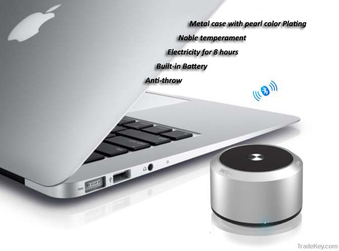 Bluetooth Mini Speaker