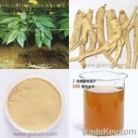 Panax Ginseng Root Extract