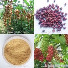 Schisandra Extract