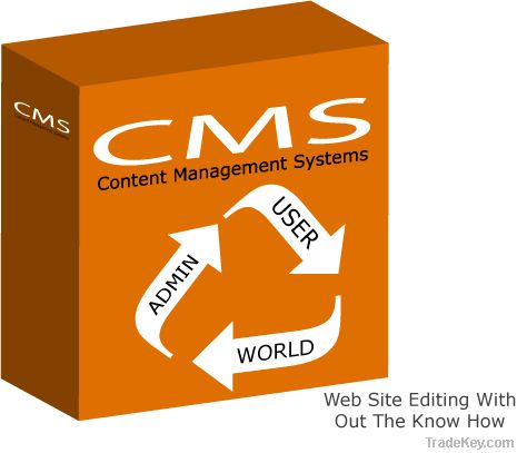 Custom Web Application