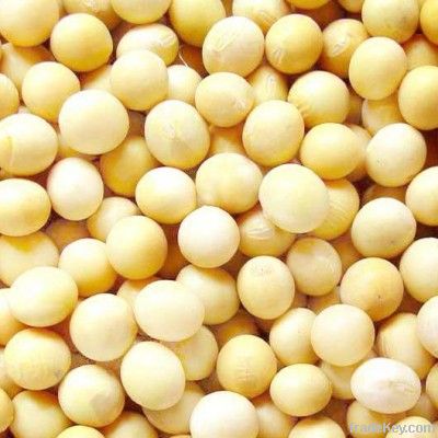 Soybean Isoflavones