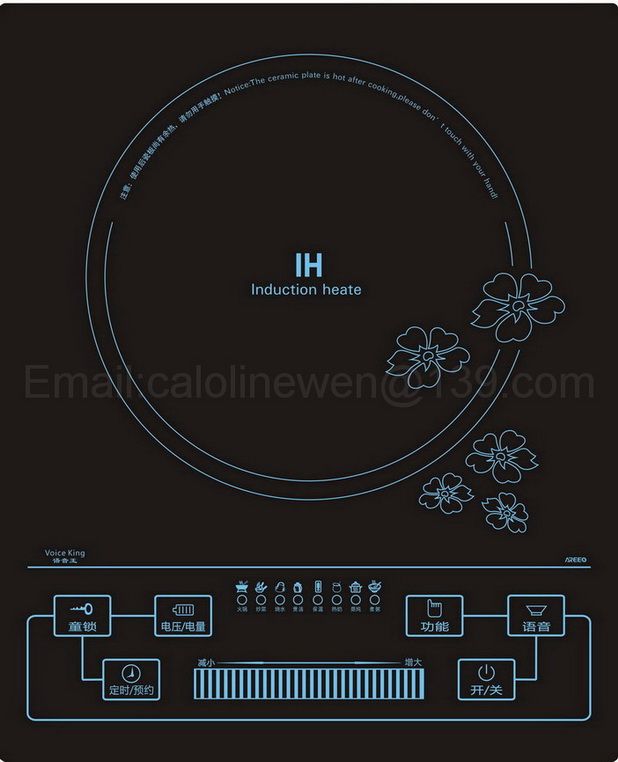 induction cooker B01