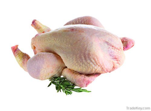 Export Chicken Meat | Chicken Meat Suppliers | Poultry Meat Exporters | Chicken Pieces Traders | Processed Chicken Meat Buyers | Frozen Poultry Meat Wholesalers | Halal Chicken | Low Price Freeze Chicken Wings | Best Buy Chicken Parts | Buy Chicken Meat |