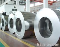 304 Stainless steel sheet/strip/coil