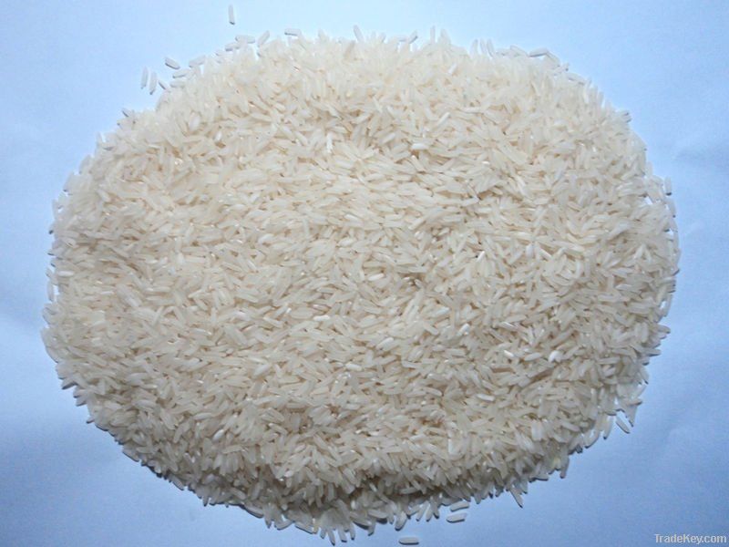 GTR- BASMATI, NON-BASMATI RICE.