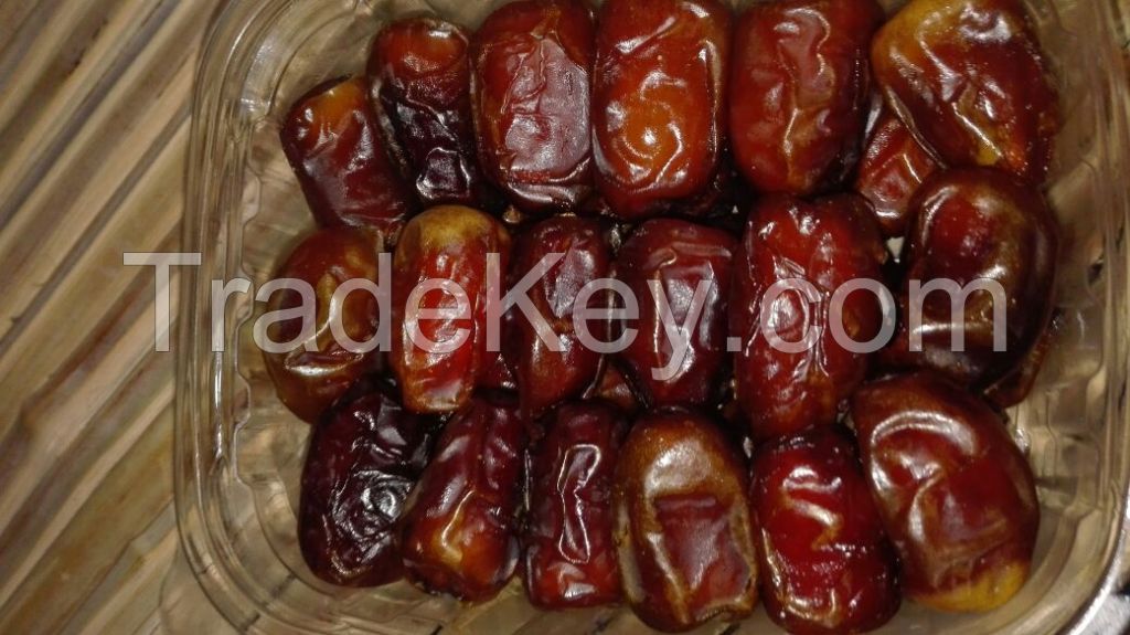 fresh dates suppliers egypt , egyptian fresh dates