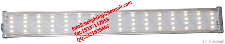 LED Cold Storage Light