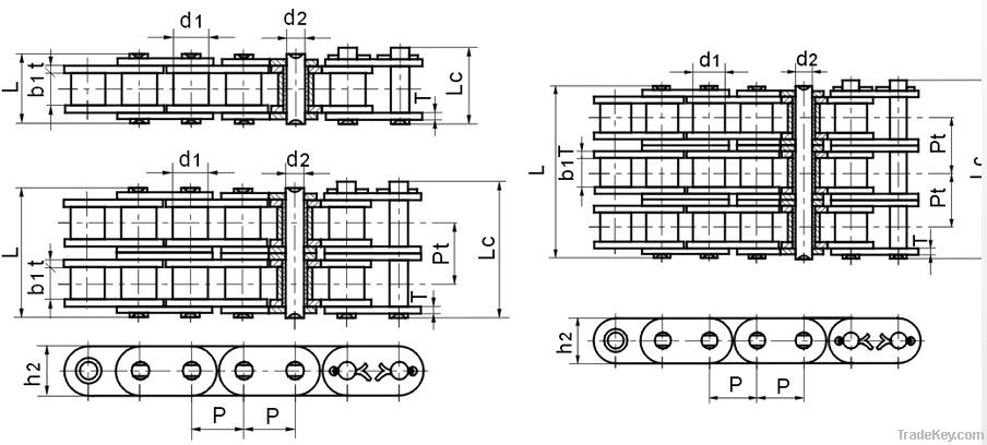 Roller Chain