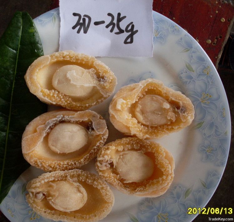 frozen boiled abalone meat