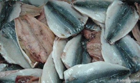 Frozen mackerel fillet