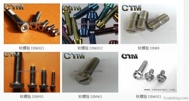 Titanium fastener