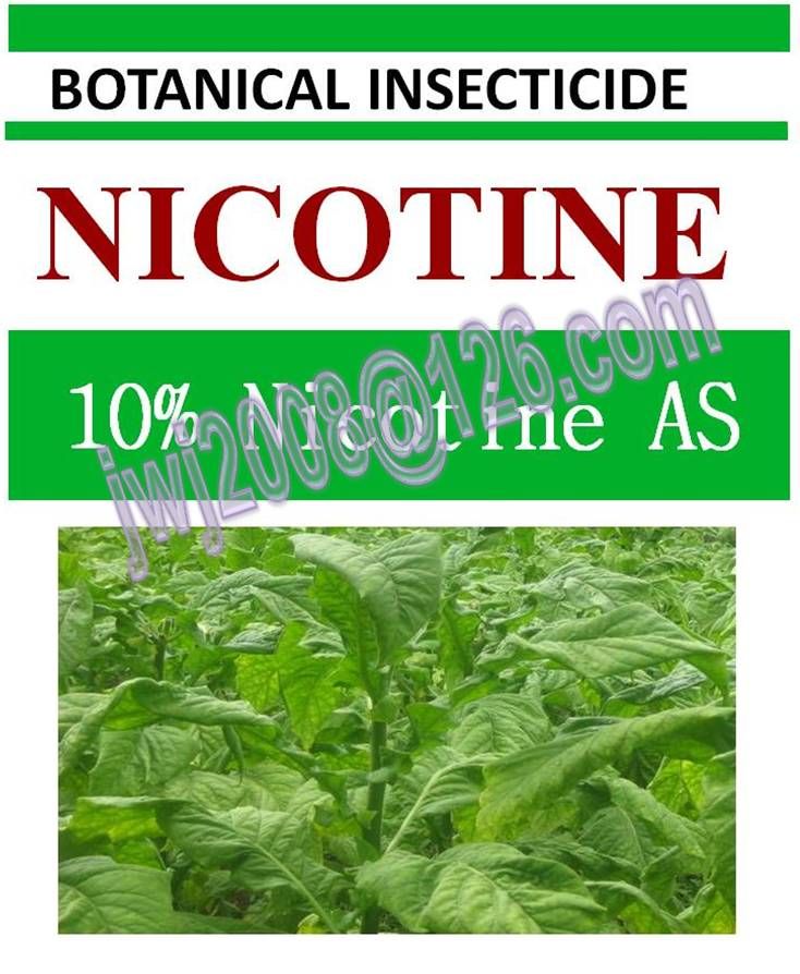 10% Nicotine AS, biopesticide, insecticide