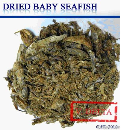 DRIED BABY SEAFISH