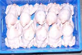 Export Chicken Meat | Chicken Meat Suppliers | Poultry Meat Exporters | Chicken Pieces Traders | Processed Chicken Meat Buyers | Frozen Poultry Meat Wholesalers | Halal Chicken | Low Price Freeze Chicken Wings | Best Buy Chicken Parts | Buy Chicken Meat |