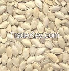 Pumpkin seeds for sale