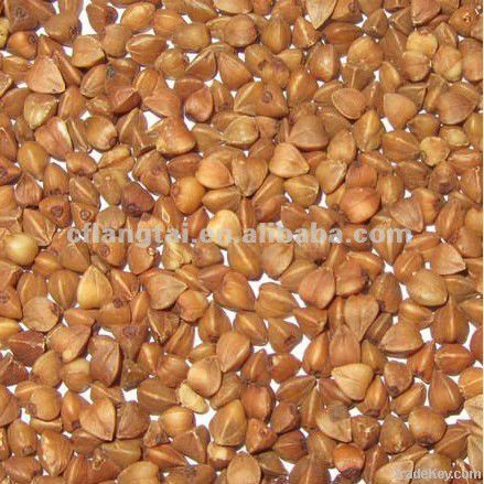 roasted buckwheat kernels